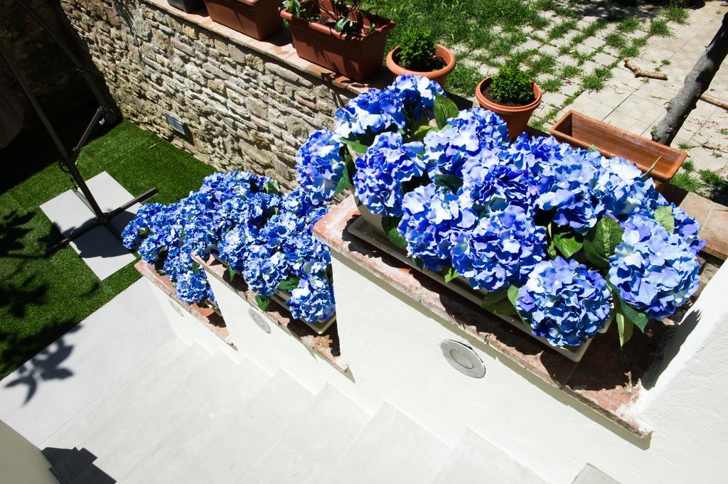 Casamia Suite Arezzo Exteriér fotografie